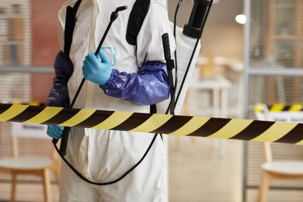 Professional Sewage Cleanup technician working in Steen, MN